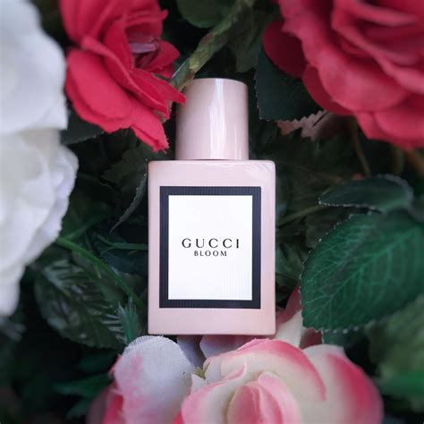 gucci bloom profumo fragrantica|Gucci Bloom perfume knock off.